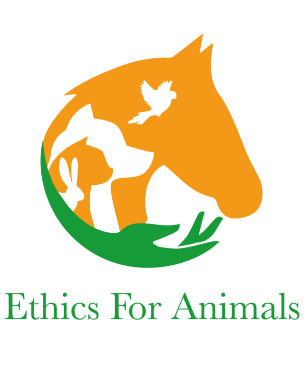 ethics-for-animals